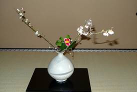 Ikebana dans tokonoma